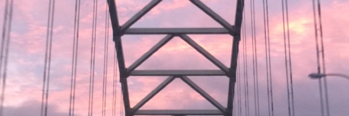 kate_lee__'s profile banner image