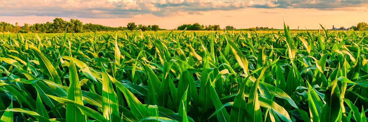 Dave Handsaker banner