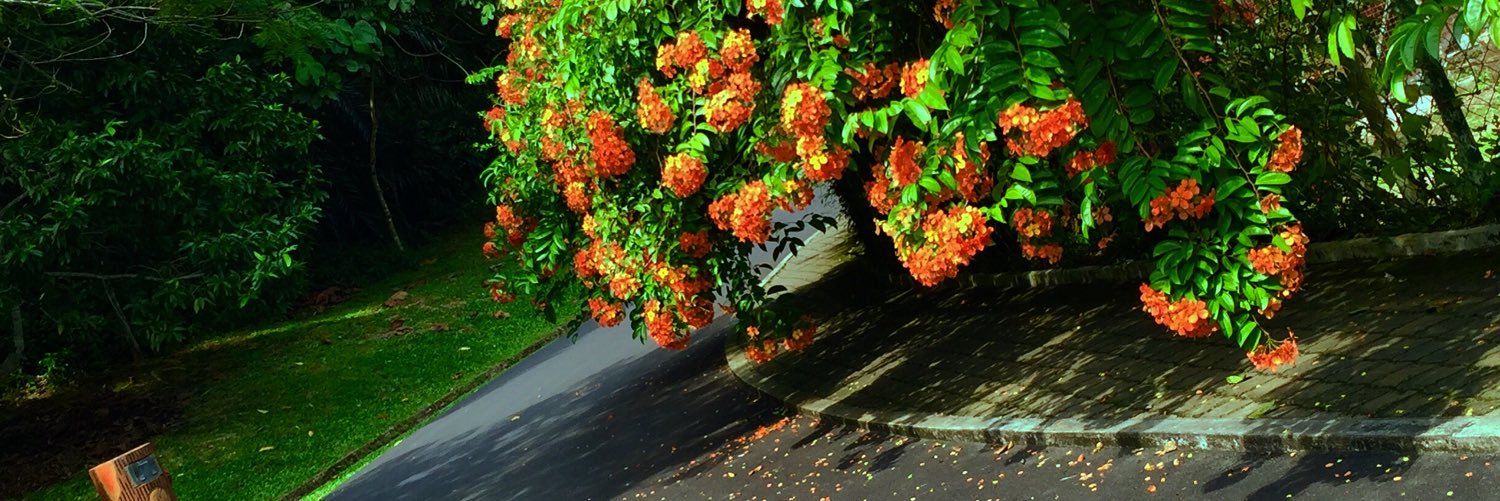 a111tofey's profile banner image