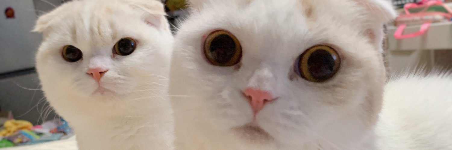 00minny's profile banner image