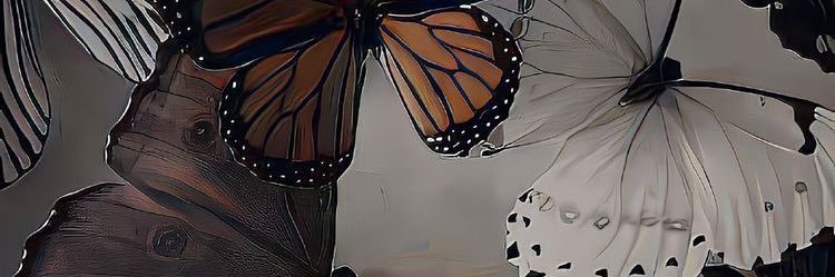 Caasseeee's profile banner image