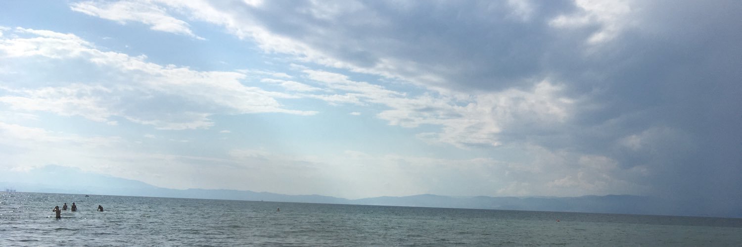 tchonev's profile banner image