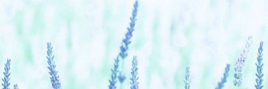 PinkSoapPony's profile banner image