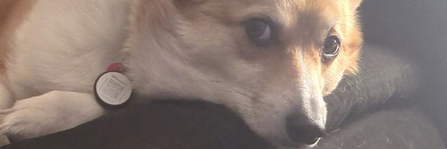 DougMaury's profile banner image