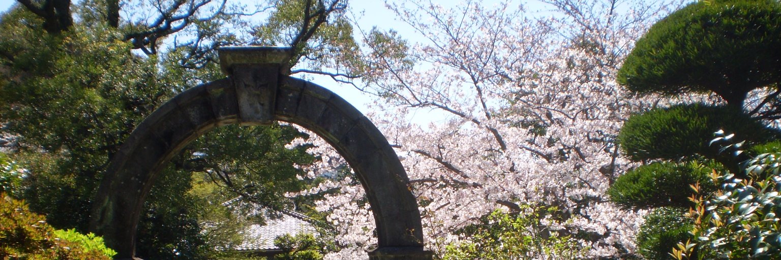 akeminohana's profile banner image