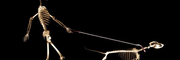 TheBVOA Profile Banner