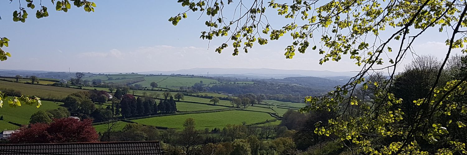 David Devanny banner