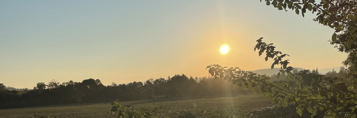 tararedrobin's profile banner image