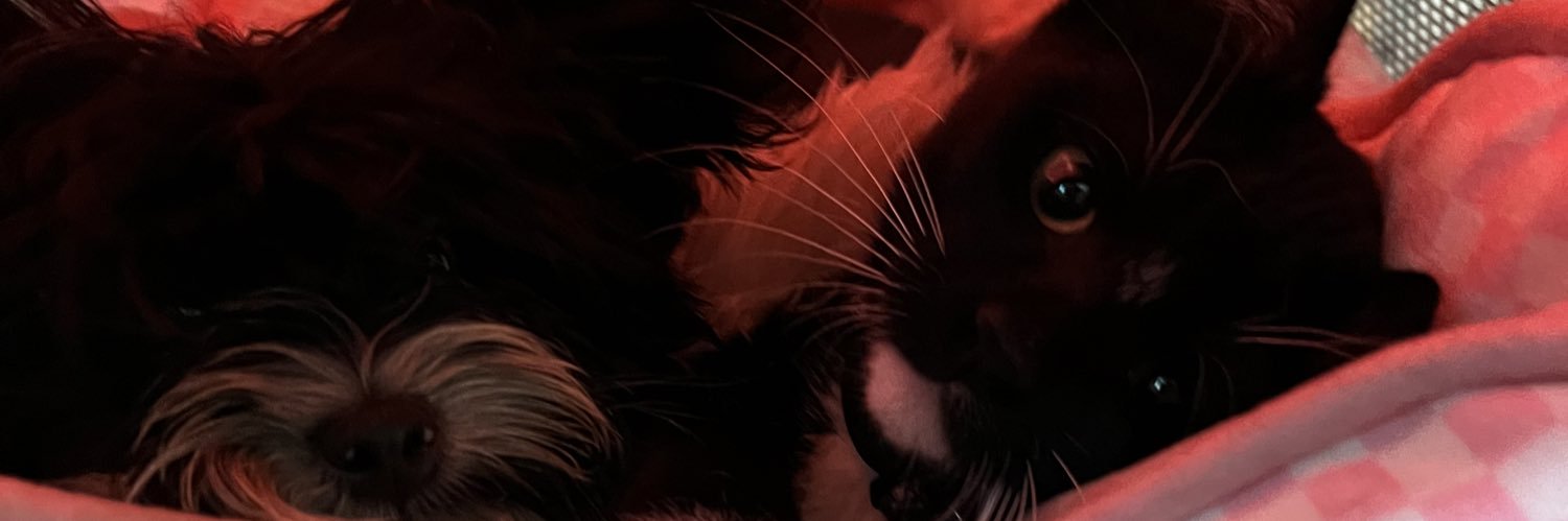 Awsome_69_'s profile banner image