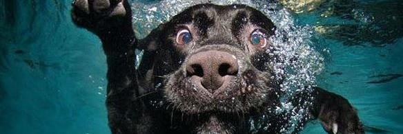 alefhsousa's profile banner image
