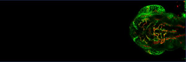 gyanranjan2197 Profile Banner