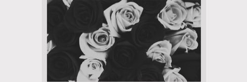 thisis_cicii's profile banner image