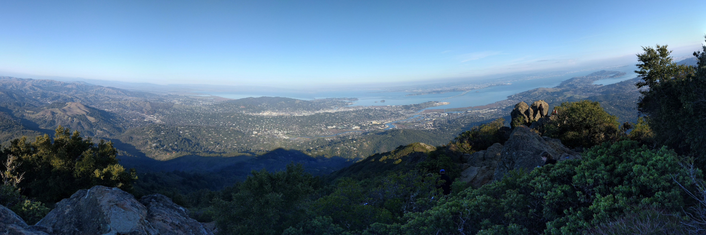 Peter Guagenti banner