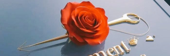 Chickennn 🧚🏻₊$XAGE banner