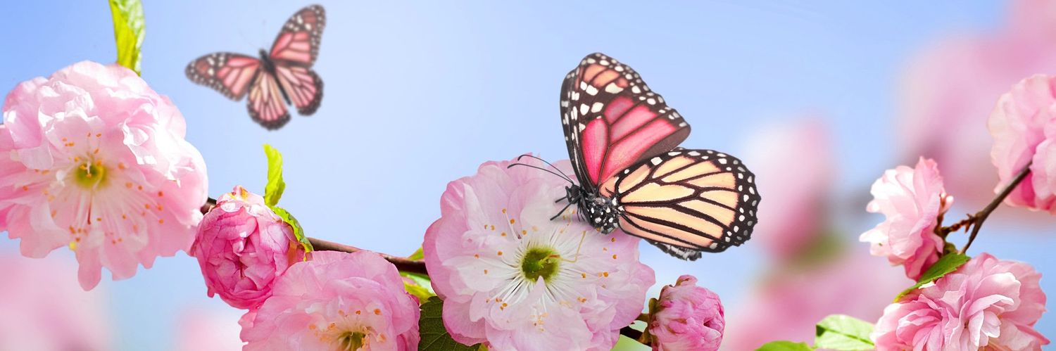 Suzana__Gaming banner