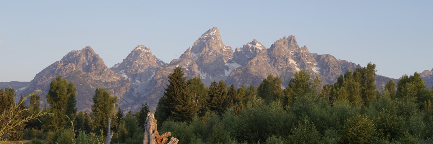 TravisDJohnson's profile banner image