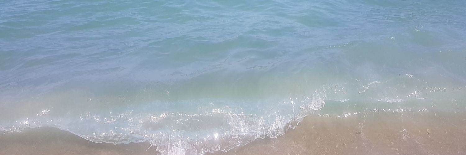 Nicobarjo_'s profile banner image