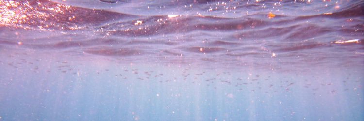 RaeSamone_'s profile banner image