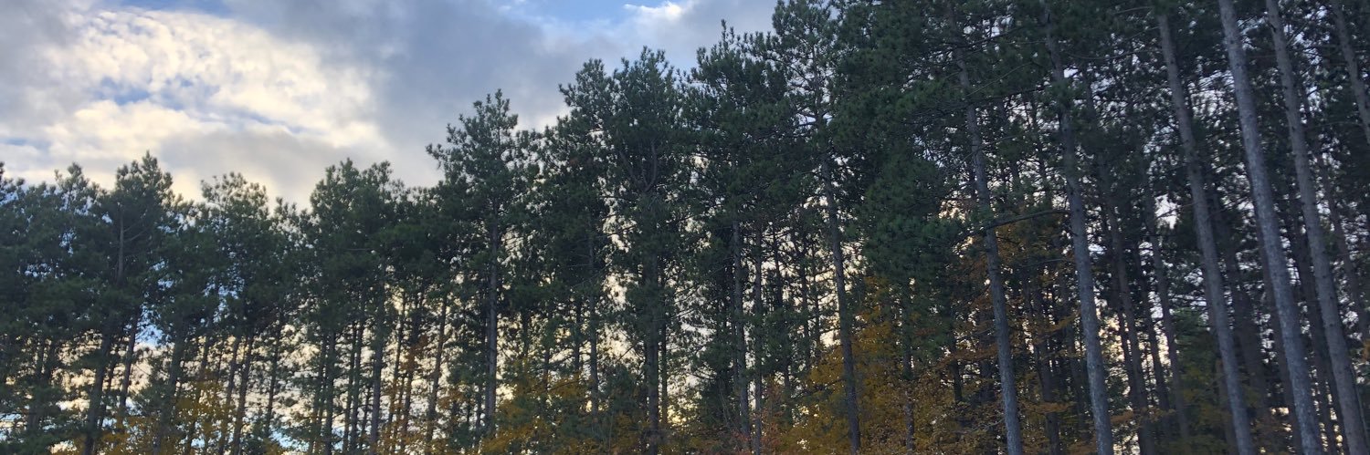 MadsJT19's profile banner image