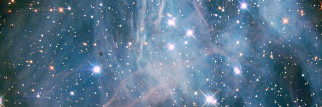 Claire Tracey banner