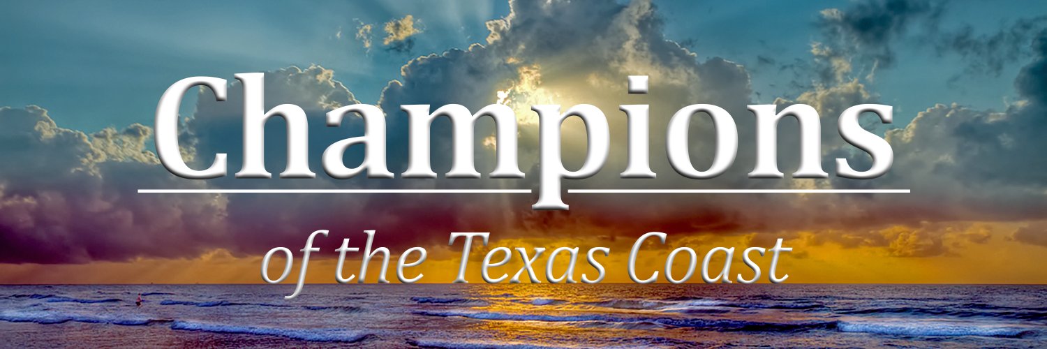 USACE Galveston banner