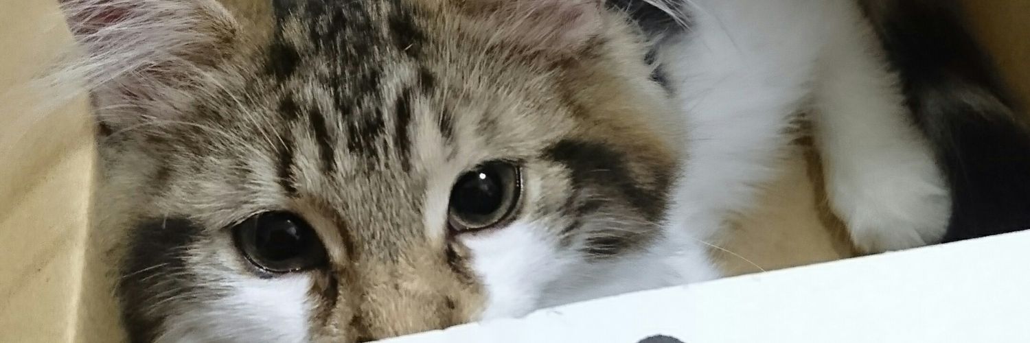 くーとら banner