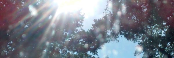 MariaELoewen Profile Banner