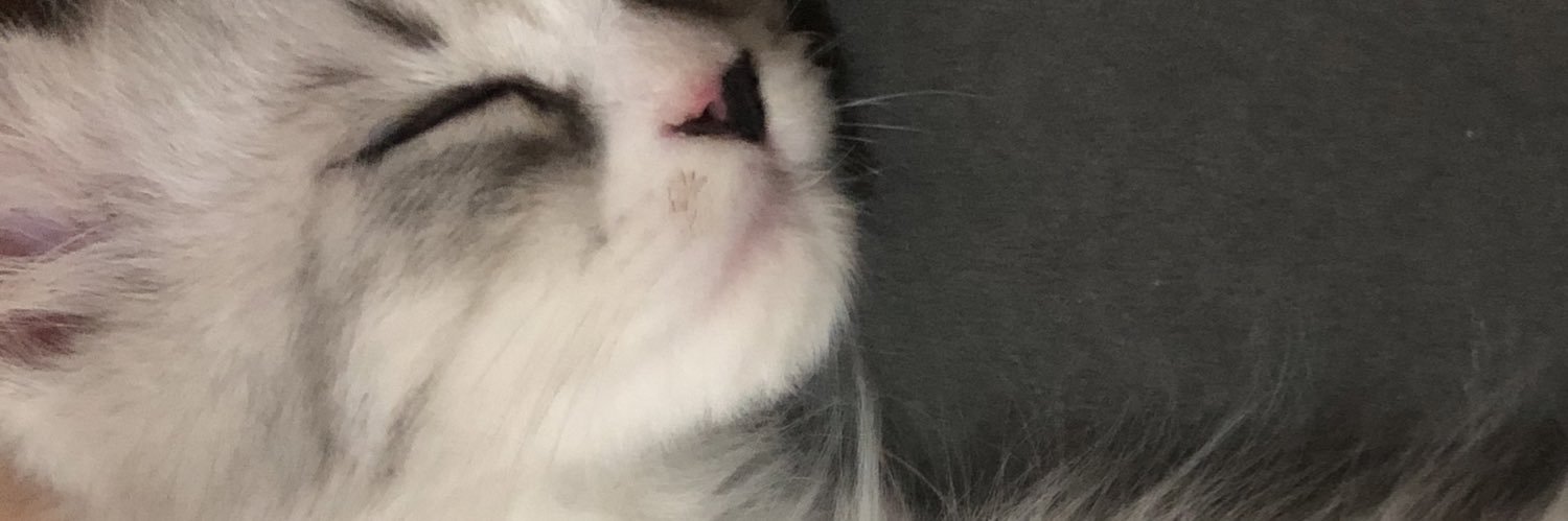tugcenesee's profile banner image