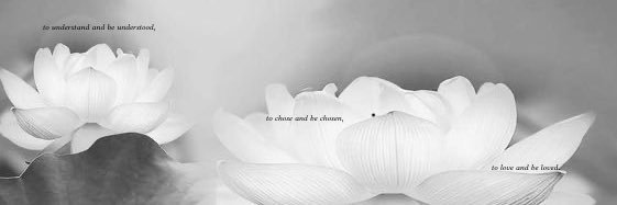 ❛ Yours truly, 𝒯. banner