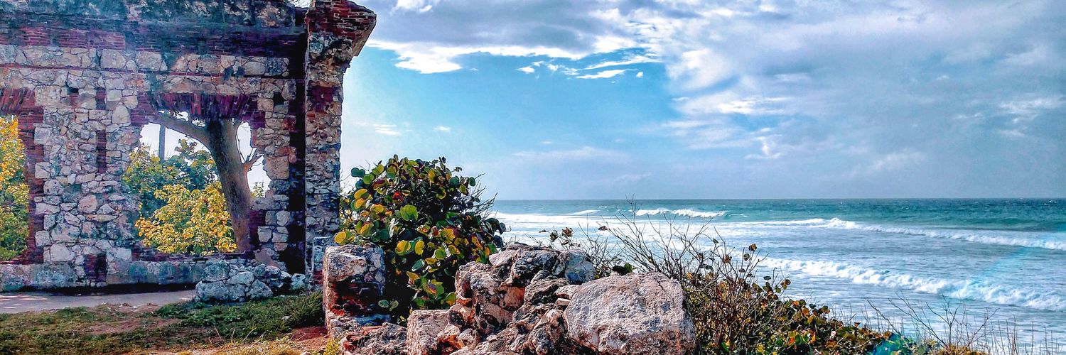 luisabner_'s profile banner image