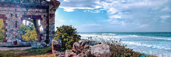 luisabner_ Profile Banner