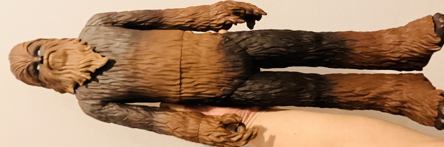 みょ沼 🇲🇾(マレーシアのラクダ) 怪獣大好き🦖 banner