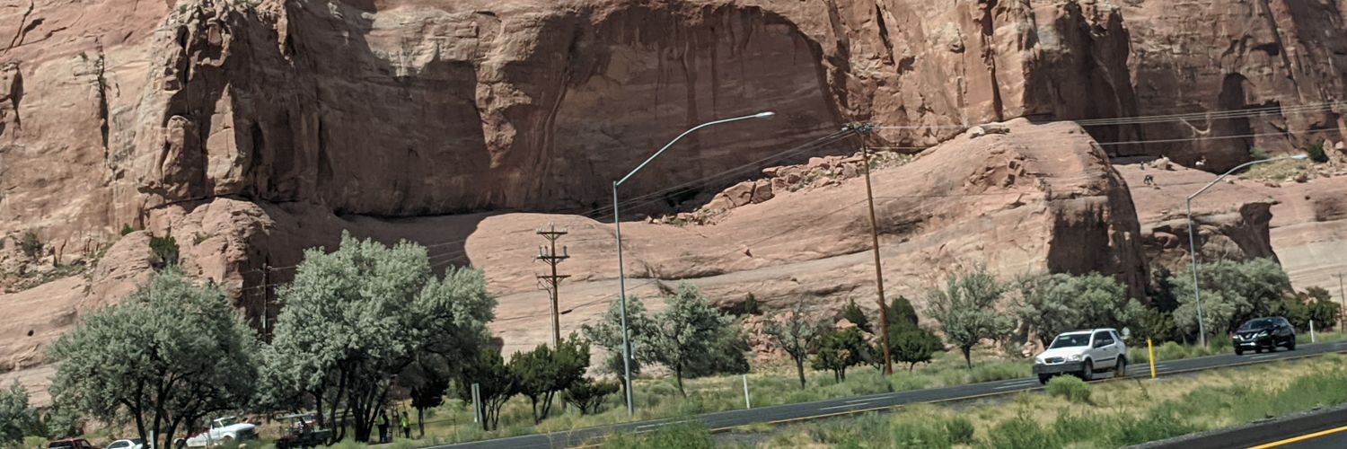 redwolverines's profile banner image