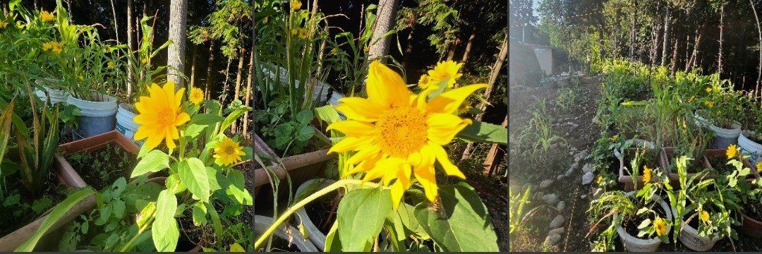 ERGardenerChef's profile banner image