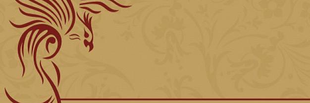 PhoenixsGZ's profile banner image