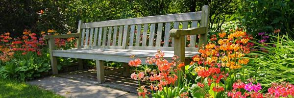 ChurchHealthy Profile Banner