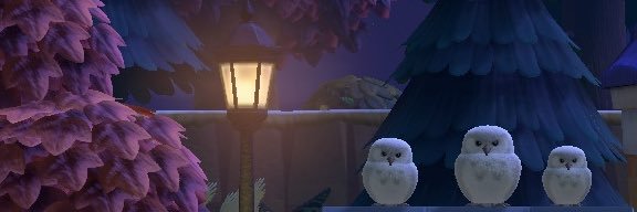 PumpkinCami's profile banner image