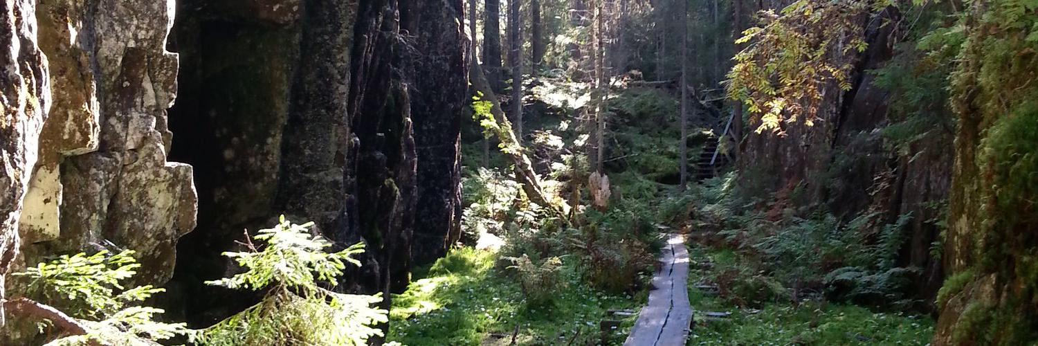 sanna pesonen banner