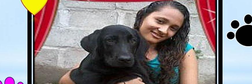ANYPAW's profile banner image