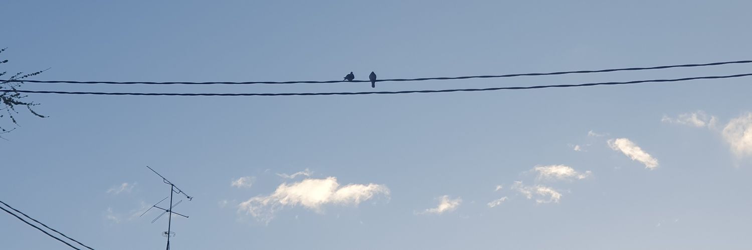 VaythS🇮🇨 banner