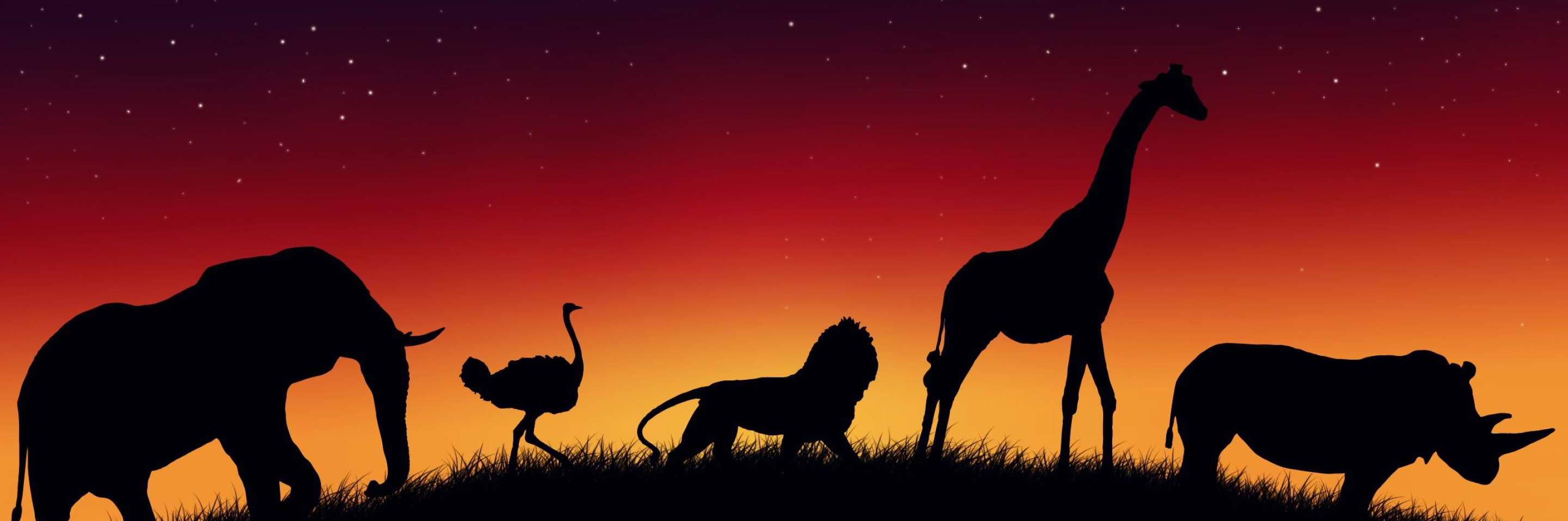 danielarjonarub's profile banner image
