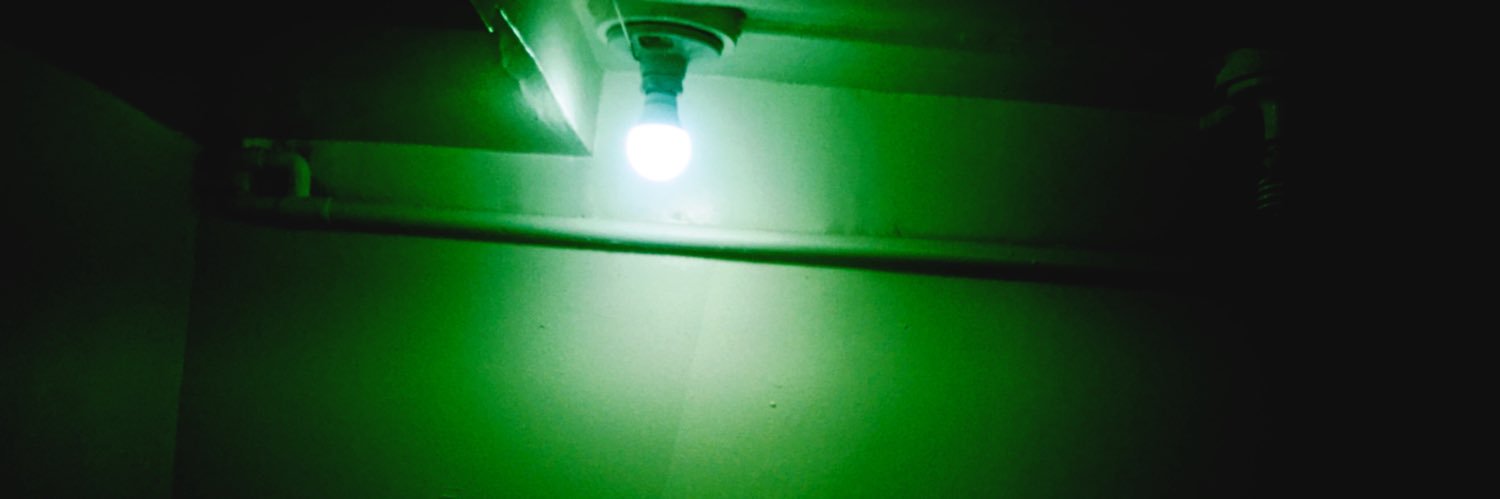erinl_'s profile banner image