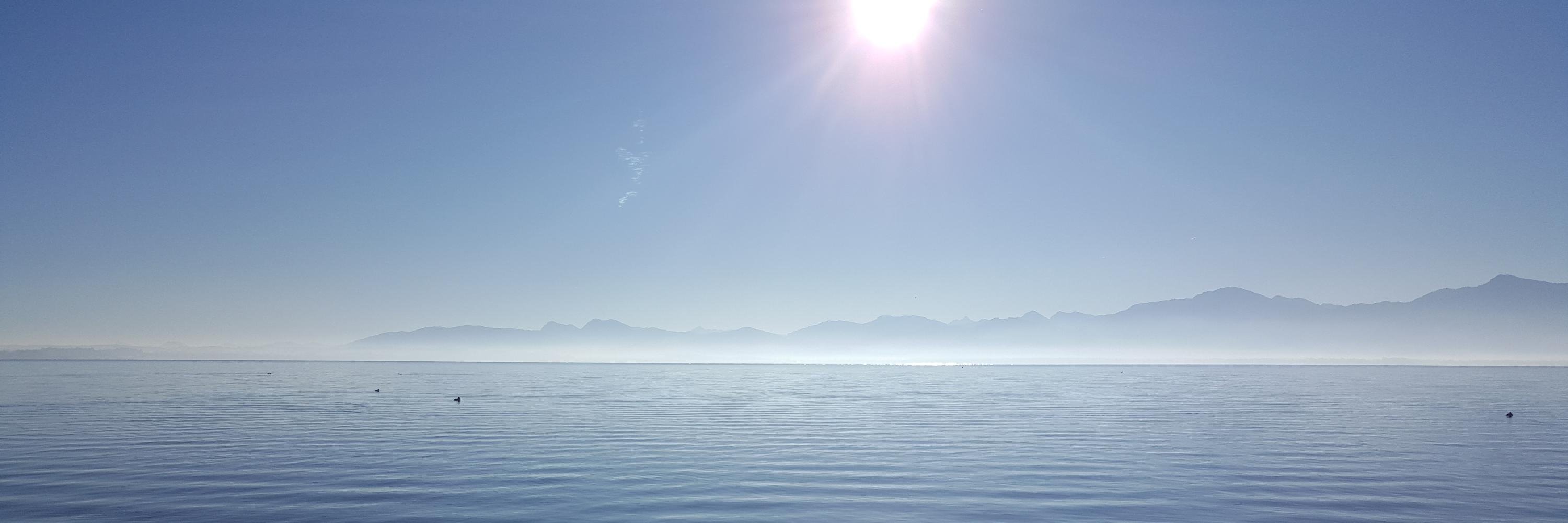 Bastian Spanneberg banner