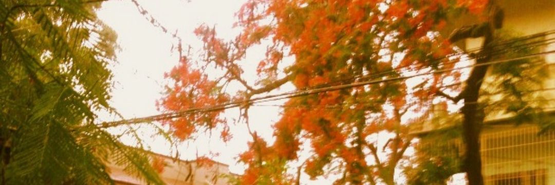 vishnu92rock's profile banner image