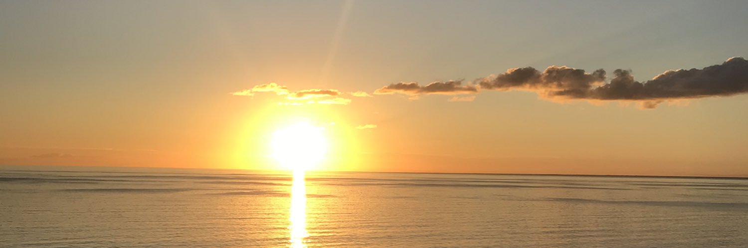 WSCCEDUPROF's profile banner image