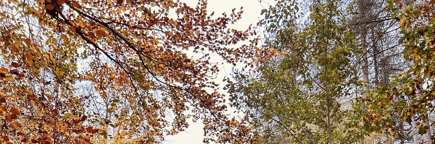 andibudd's profile banner image