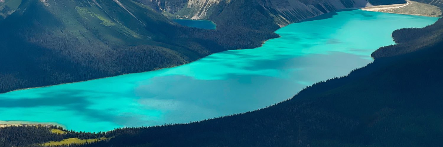 WindsofJane 🇨🇦 banner