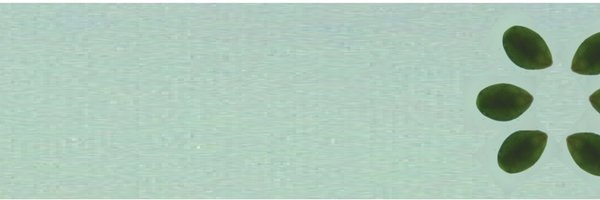 sravUpp Profile Banner