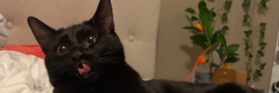 Cory_taylor22's profile banner image