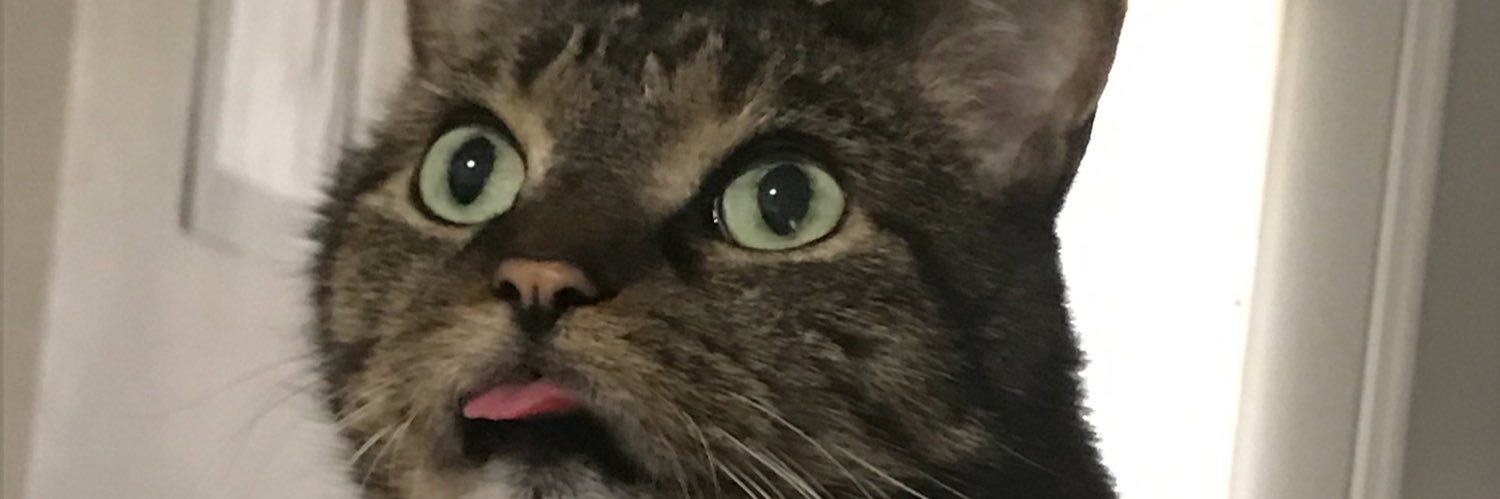 bellahgn's profile banner image